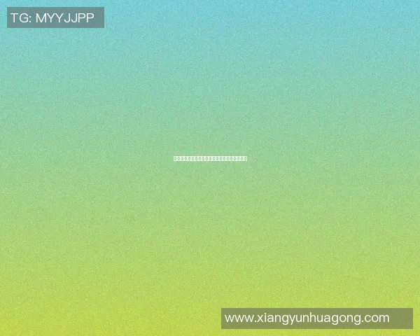 瑞金队篮球明星的成长历程与辉煌成就全景回顾